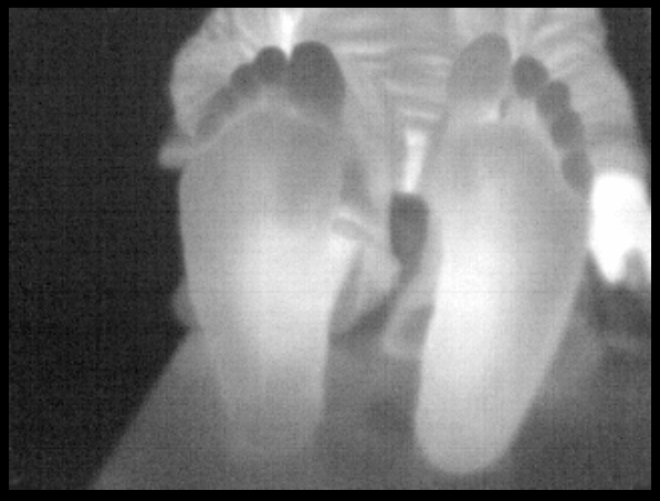Infrared Seek Camera